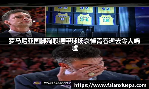 彩乐园官网
