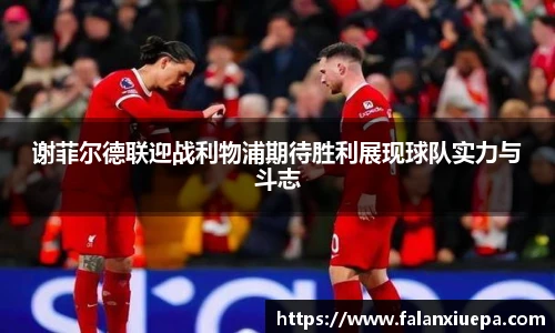 彩乐园
